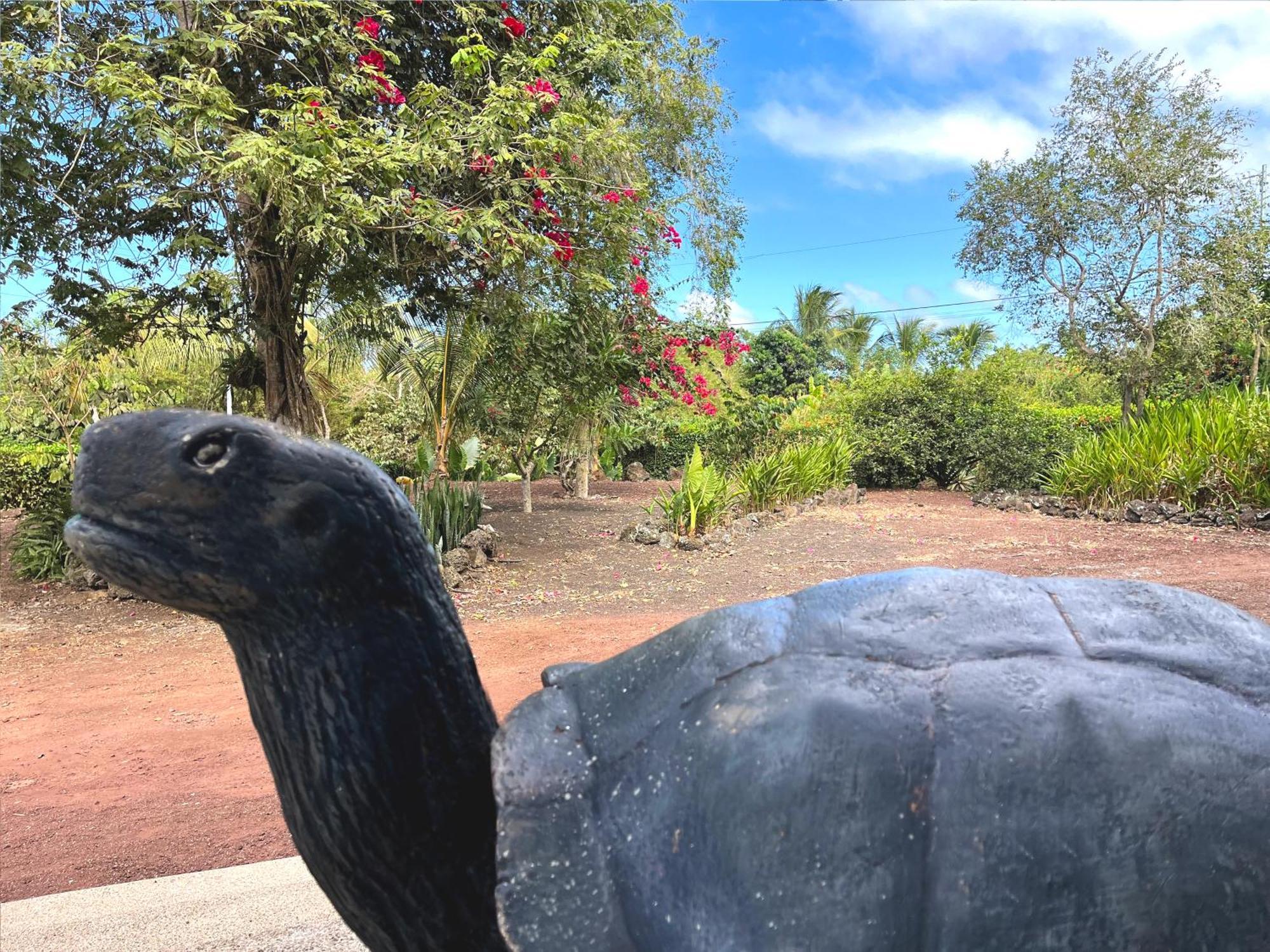 פורטו איורה Hotel Tortuga Bay - Galapagos מראה חיצוני תמונה
